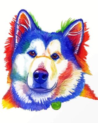 Alaskan Malamute Paint By Numbers