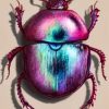 Scarab Paint By Numbers