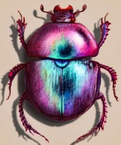 Scarab Paint By Numbers