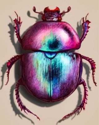 Scarab Paint By Numbers