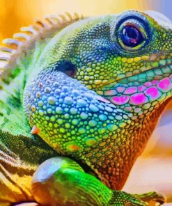 Iguana Saurian Paint By Numbers