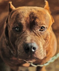 American Bully Paint By Numbers