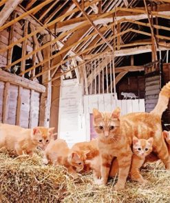 Kittens In A Barn Paint By Numbers