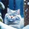 British Shorthair Paint By Numbers