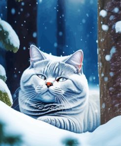 British Shorthair Paint By Numbers