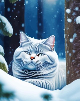 British Shorthair Paint By Numbers