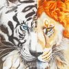 Half Lion And Tiger Paint By Numbers