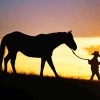 Horse And Boy Paint By Numbers