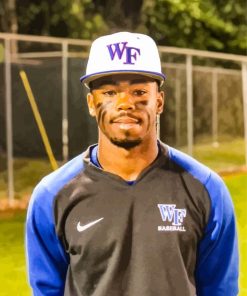 Kahlil Watson Baseballer Paint By Numbers