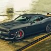 Matte Hellcat Paint By Numbers