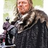 Ned Stark Art Paint By Numbers