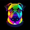 Rainbow Pug Paint By Numbers