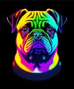 Rainbow Pug Paint By Numbers