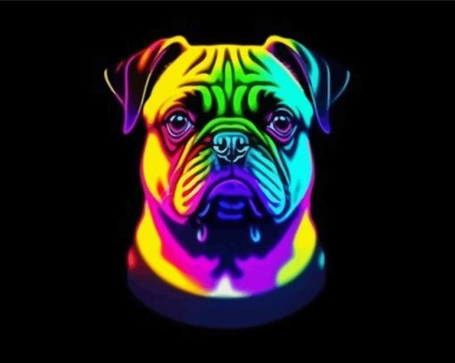 Rainbow Pug Paint By Numbers