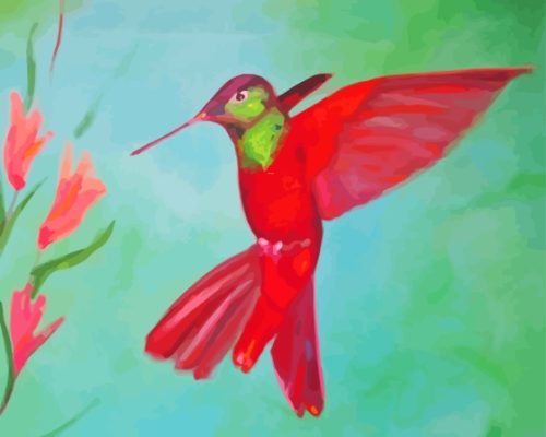 Red Hummingbird Paint By Numbers