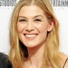 Rosamund Pike Paint By Numbers