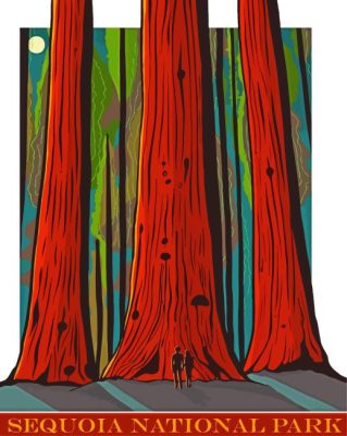 Sequoia Forest Paint By Numbers