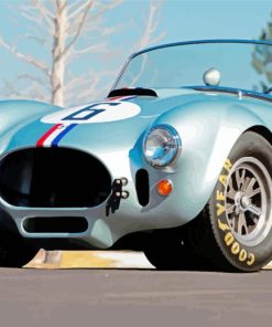 Shelby Cobra Paint By Numbers