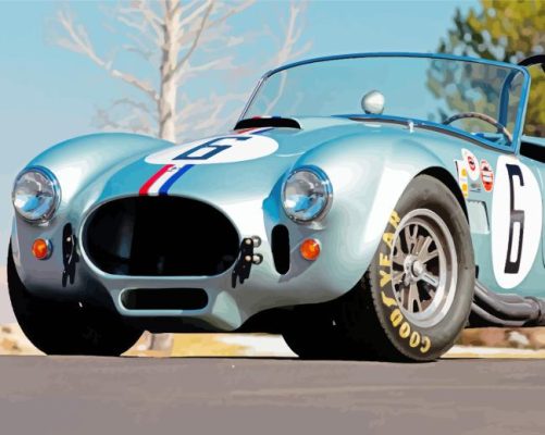 Shelby Cobra Paint By Numbers