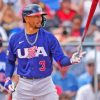 Team USA Baseball Player Paint By Numbers