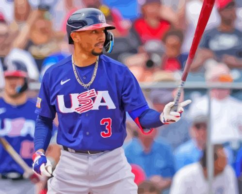 Team USA Baseball Player Paint By Numbers