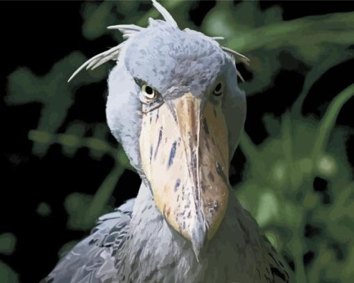 The Shoebill Stork Paint By Numbers