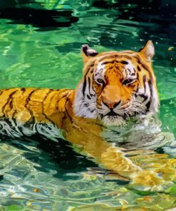 Tiger In Water Paint By Numbers