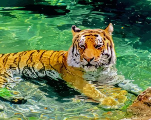 Tiger In Water Paint By Numbers