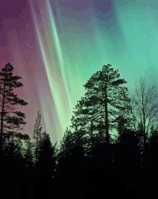 Aurora Lights Paint By Numbers