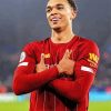 Trent Alexander Arnold Paint By Numbers