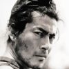 Toshiro Mifune Paint By Numbers