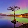 Aurora Loch Lomond Paint By Numbers