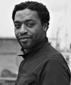 Chiwetel Ejiofor Paint By Numbers