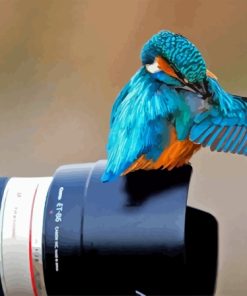 Bird And Camera Paint By Numbers