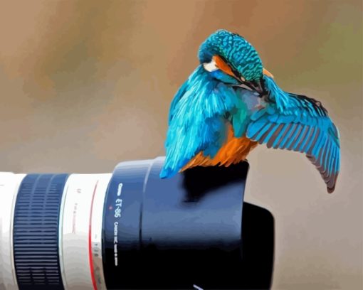 Bird And Camera Paint By Numbers