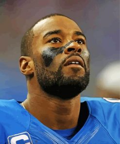 Calvin Johnson Paint By Numbers