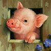 Cute Pig Paint By Numbers