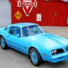 Cyan Firebird Paint By Numbers