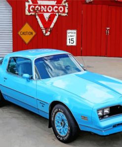 Cyan Firebird Paint By Numbers