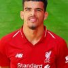 Dominic Solanke Paint By Numbers