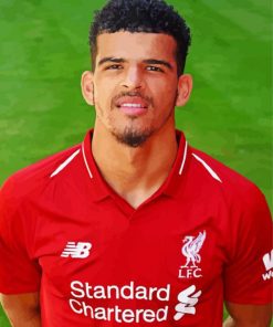 Dominic Solanke Paint By Numbers