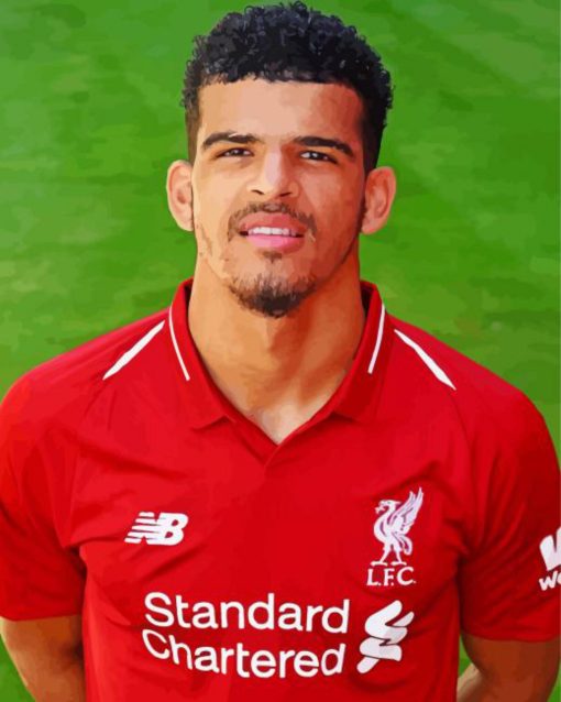 Dominic Solanke Paint By Numbers