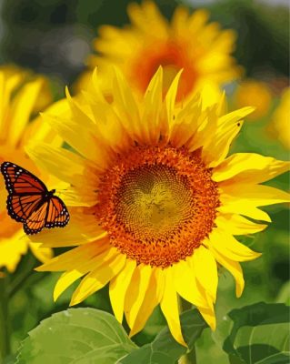 Butterfly Sunflower Paint By Numbers