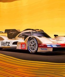 Porsche Le Mans Paint By Numbers