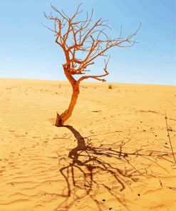 Sahara Tree Paint By Numbers