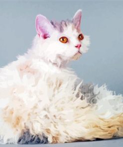 Selkirk Rex Paint By Numbers