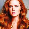 The Actress Amy Adams Paint By Numbers