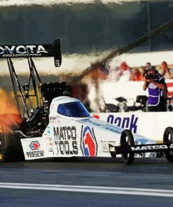 Top Fuel Paint By Numbers