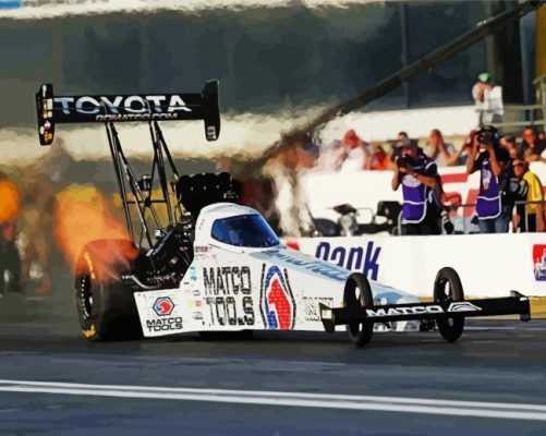 Top Fuel Paint By Numbers