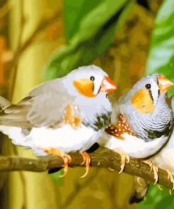 Zebra Finch Paint By Numbers